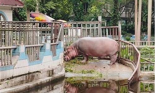 南宁动物园开放时间及门票_南宁动物园开放