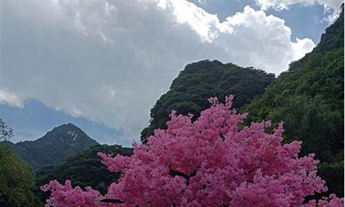 太平森林公园攻略 一日游_太平森林公园攻