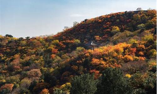 喇叭沟门原始森林风景区_喇叭沟门原始森林